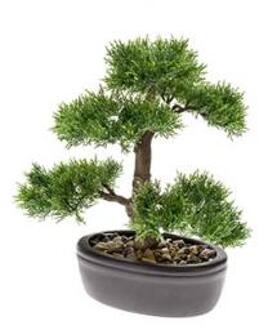 Plantenwinkel Kunstplant Bonsai cedar M Groen