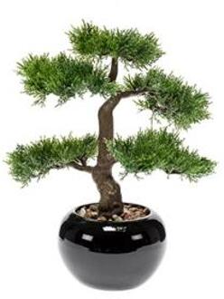 Plantenwinkel Kunstplant Bonsai cedar M in pot Groen