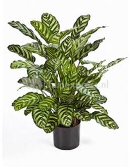 Plantenwinkel Kunstplant Calathea green M Groen