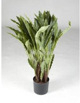 Plantenwinkel Kunstplant Calathea rufibarba wavestar M Groen