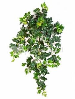 Plantenwinkel Kunstplant Cissus ellen danica M Groen
