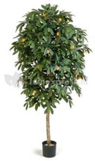 Plantenwinkel Kunstplant Citrus mandarine L Groen