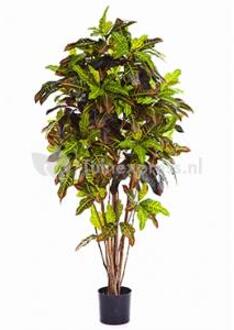 Plantenwinkel Kunstplant Croton exellent L Groen