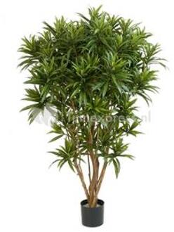 Plantenwinkel Kunstplant Dracaena reflexa jamaica Groen