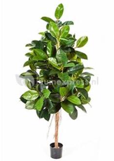 Plantenwinkel Kunstplant Ficus elastica L Groen