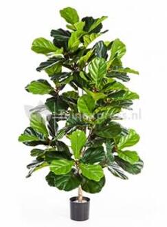 Plantenwinkel Kunstplant Ficus lyrata L Groen