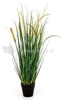 Plantenwinkel Kunstplant Foxtail wild grass M Groen