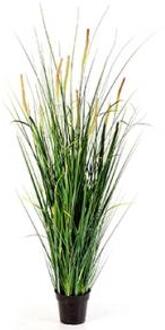 Plantenwinkel Kunstplant Foxtail wild grass XL Groen