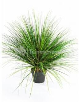 Plantenwinkel Kunstplant Grass onion M Groen