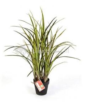 Plantenwinkel Kunstplant Natural grass green M Groen