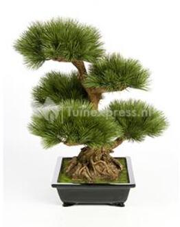 Plantenwinkel Kunstplant Pinus bonsai L Groen