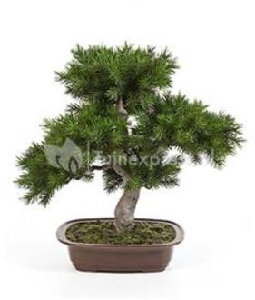 Plantenwinkel Kunstplant Pinus bonsai M Groen