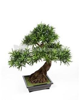 Plantenwinkel Kunstplant Podocarpus bonsai L Groen