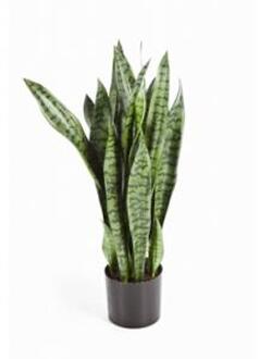 Plantenwinkel Kunstplant Sansevieria L Groen