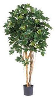 Plantenwinkel Kunstplant Schefflera arboricola XL Groen