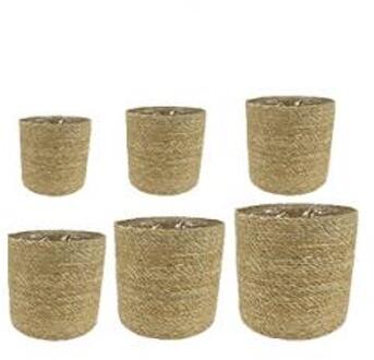 Plantenwinkel Pot stef natural bloempot binnen set van 6 Bruin