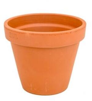 Plantenwinkel Terracotta bloempot 23 cm Oranje