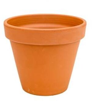 Plantenwinkel Terracotta bloempot 30 cm Oranje