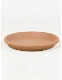 Plantenwinkel Terracotta schotel 36 cm Oranje