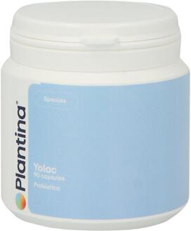 Plantina Yolac 5