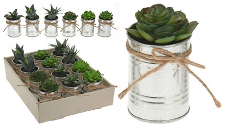 Plantje in pot zink touw