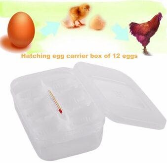 Plastic 12 Gaten Reptiel Gekko Ei Incubatie Lade Met Thermometer Incubatie Snake Eieren Incubatie Tool