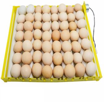 Plastic Eieren Incubator Accessoires Duurzaam Roterende Automatische Roller Patroon Ei Turner Lade Huishoudelijke Ei Lade SG983702