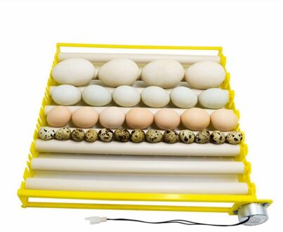 Plastic Eieren Incubator Accessoires Duurzaam Roterende Automatische Roller Patroon Ei Turner Lade Huishoudelijke Ei Lade SG983705