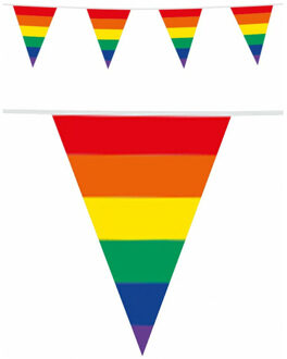 Plastic regenboog vlaggenlijn 10 meter - Vlaggenlijnen Multikleur