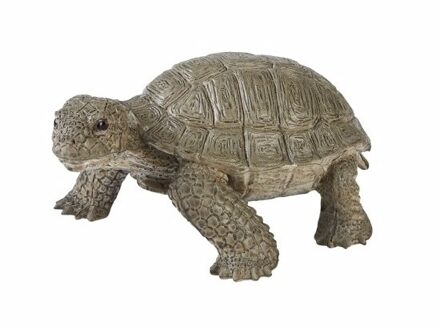 Plastic schildpad 14 cm - Speelfigurenset