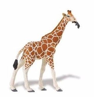 Plastic Speelgoed Figuur Somalische Giraffe 14 Cm