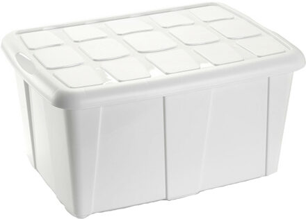 Plasticforte Opslagbox met deksel - Wit - 60L - kunststof - 63 x 46 x 32 cm - Opbergbox