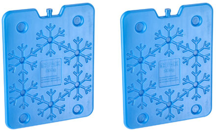 Plat groot koelelement - 2x - blauw - kunststof - 800 ml - 25 x 32 cm