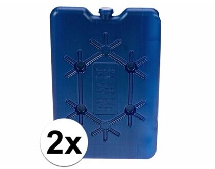 Plat koelelement 200 gram - 2x - 11 x 16 cm - Koelelementen voor koelboxen