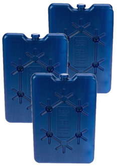 Plat koelelement 200 gram - Pakket van 5x stuks - 11 x 16 cm - Koelelementen voor koelboxen