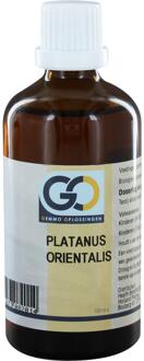 Platanus Orientalis 100 ml