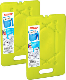 Platte dunne Koelelementen 800 gram - 2x - 30 x 20 x 1.5 cm - groen - Voor koelbox en koeltas