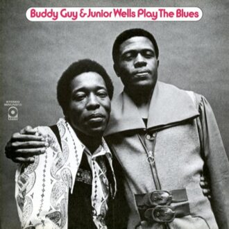Play The Blues -Hq- (LP)