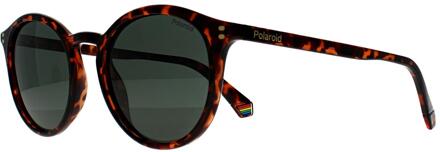 PLD 6233/S Zonnebril Bruin - One size