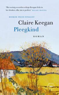 Pleegkind - Claire Keegan