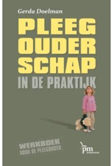 Pleegouderschap in de praktijk - Boek Gerda Doelman (9024418313)
