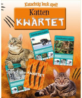 Plenty Gifts katten kwartetspel