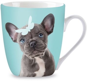 Plenty Gifts Mok Studio Pets French Bull