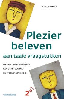 Plezier beleven aan taaie vraagstukken - Boek Hans Vermaak (9462760764)