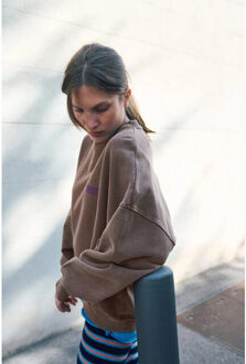 Pli03ce26 plizzy Taupe - L