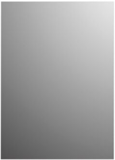 Plieger Basic 4mm rechthoekige spiegel 60x90cm zilver
