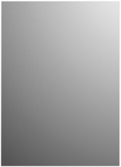 Plieger Basic 4mm spiegel 120x45cm zilver