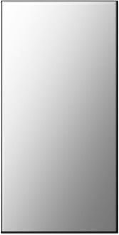 Plieger Basic spiegel sanitair 60x30cm