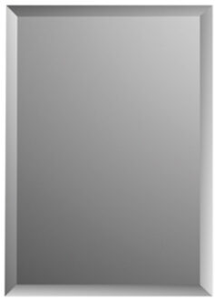 Plieger Charleston 4mm rechthoekige spiegel met facetrand 60x45cm zilver