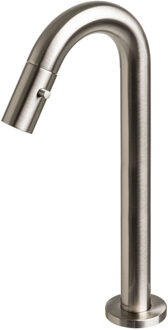 Plieger Fonteinkraan Plieger Lupo 2.0 Verhoogd Geborsteld Chroom